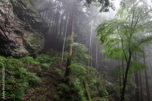 Mountain trail with poor visibility due to rain and fog                           