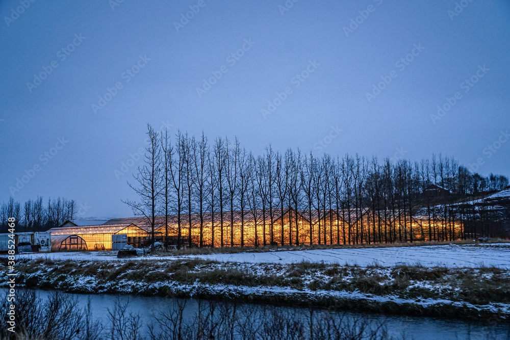 アイスランドのビニールハウスのイメージ