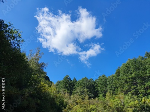 sky and clouds