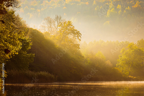 Lake fog landscape with Autumn foliage and tree reflections in Styria, Thal, Austria photo