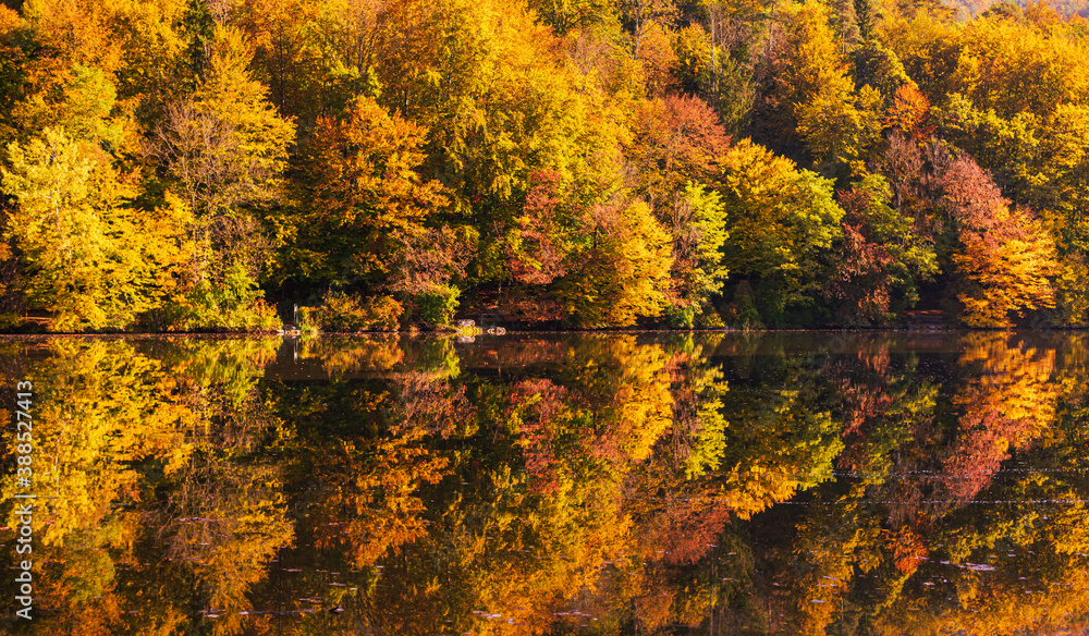 Lake fog landscape with Autumn foliage and tree reflections in Styria, Thal, Austria Lake fog landscape with Autumn foliage and tree reflections in Styria, Thal, Austria