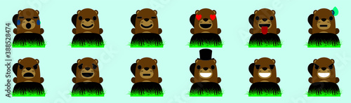 marmot, groundhog animals