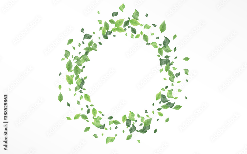 Lime Greenery Abstract Vector White Background Lime Greenery Abstract Vector White Background
