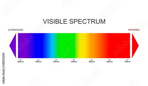 Spectrum, visible light diagram. Portion of the electromagnetic spectrum that is visible to the human eye. Color electromagnetic spectrum, light wave frequency. Infrared and ultraviolet. Vector