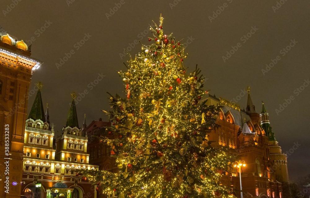 Big Christmas tree in  Moscow downtown.