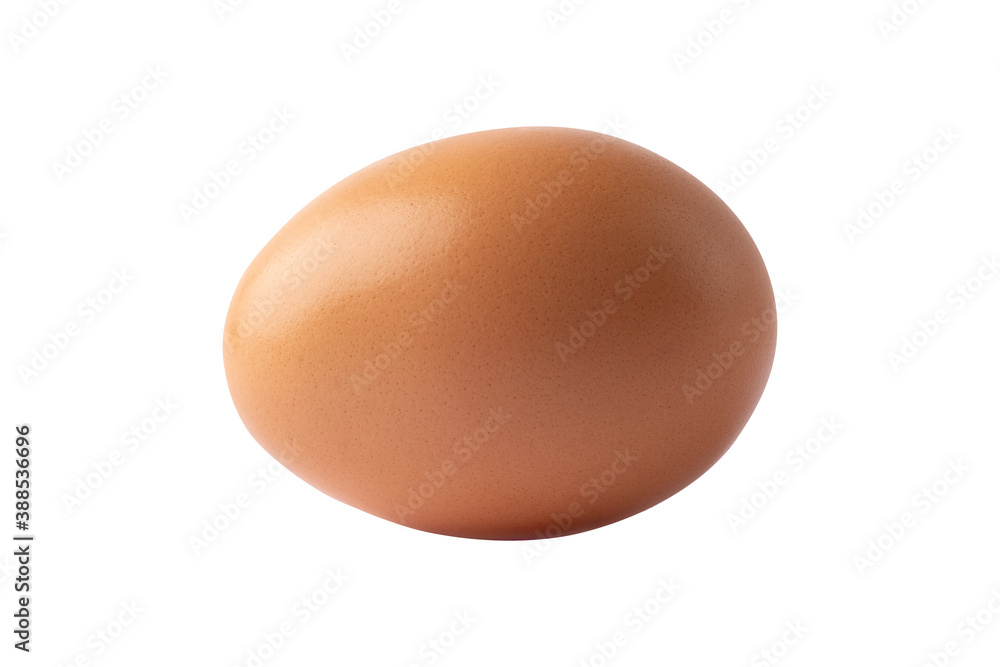 Close-up of egg isolated white background. Close-up of egg isolated white background.