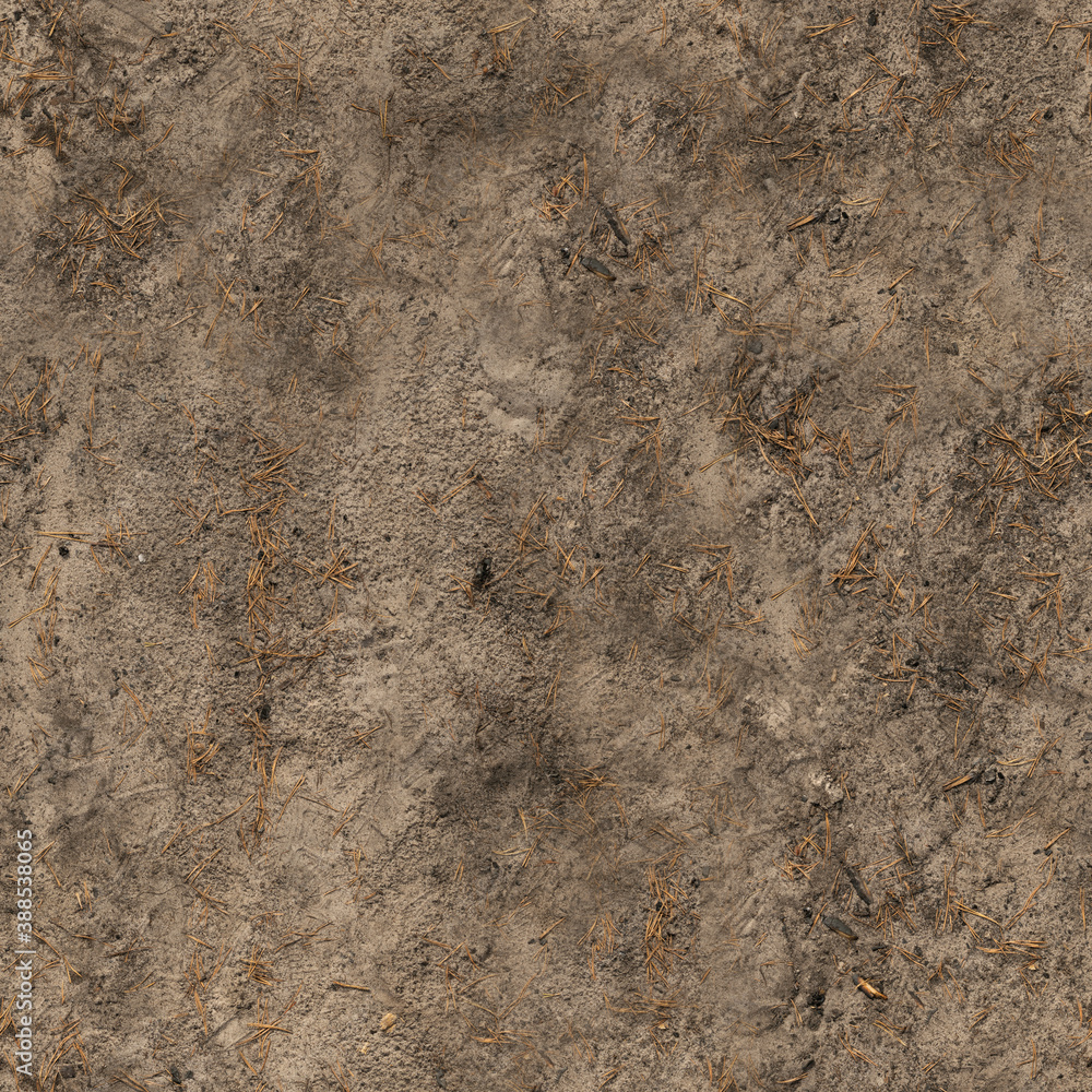 8K forrest sand ground Diffuse and Albedo map for 3d materials 8K forrest sand ground Diffuse and Albedo map for 3d materials