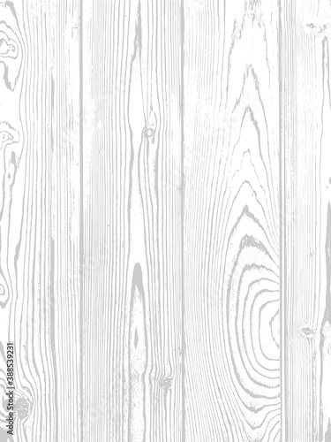 Vector wood texture. Natural material on white background.