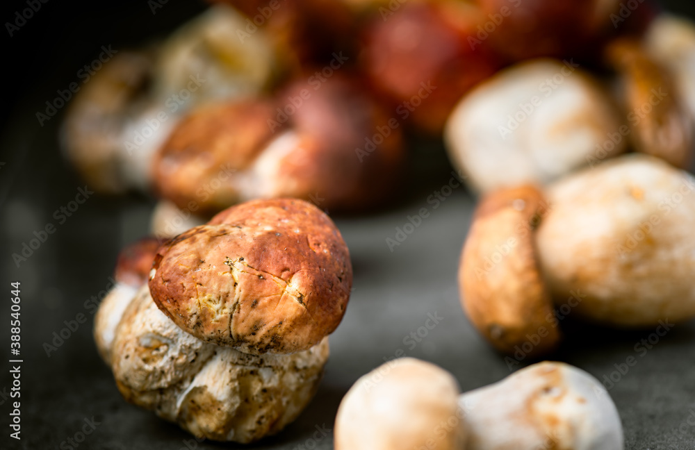 Many, Delicious, ready to cook Mushrooms, close up photography with copy space on a dark grey background Many, Delicious, ready to cook Mushrooms, close up photography with copy space on a dark grey background