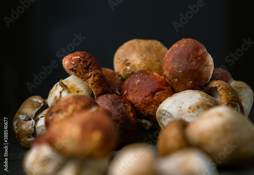 Many, Delicious, ready to cook Mushrooms, close up photography with copy space on a dark grey background 