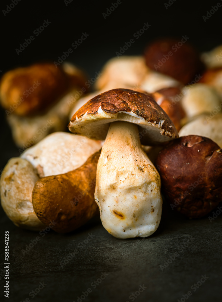 Many, Delicious, ready to cook Mushrooms, close up photography with copy space on a dark grey background Many, Delicious, ready to cook Mushrooms, close up photography with copy space on a dark grey background