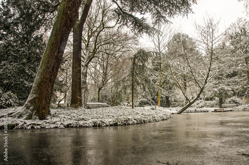 Rotterdam, The Netherlands, January 22, 2020: winter scene in Schoonoord Park, with snow-covered trres and bushes reflecting in a frozen pond photo