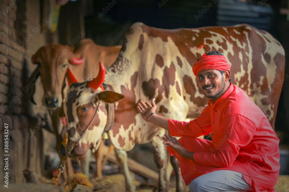 young indian farmer standing with farm cattle animal