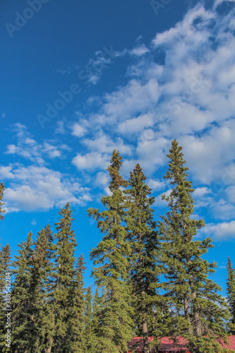 Banff National Park  Alberta  Canada  June 30  2019 - Landscape picture of the mountain  lake  forest  and sky in the Banff National Park.