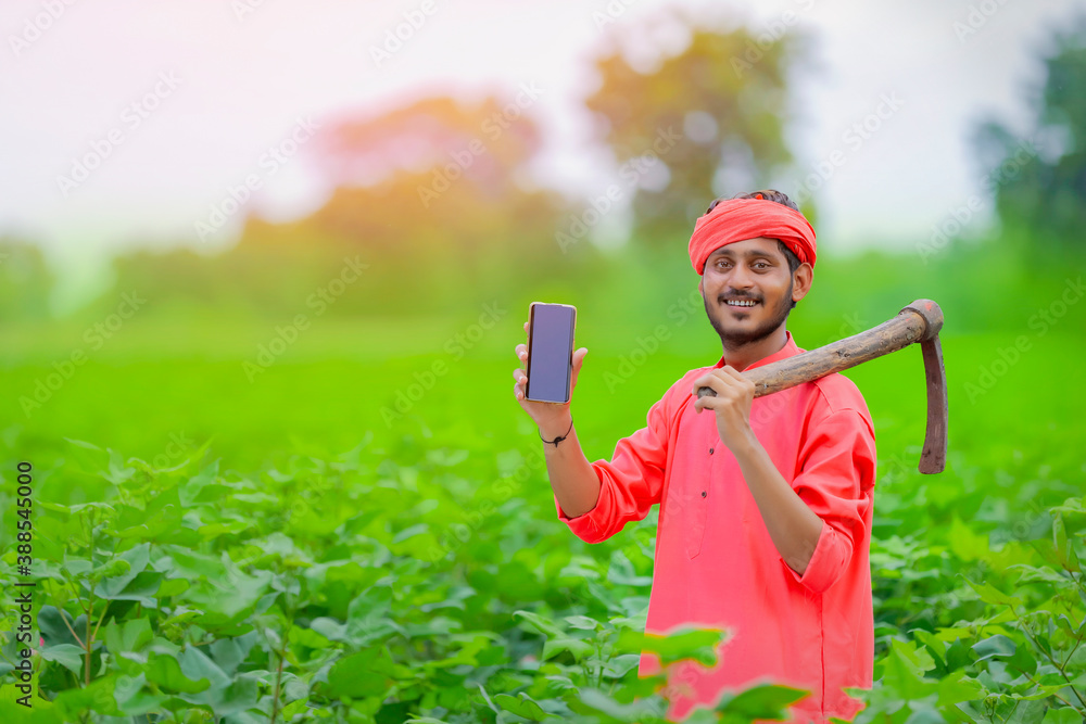 Young indian farmer showing smartphone in green cotton field Stock ...