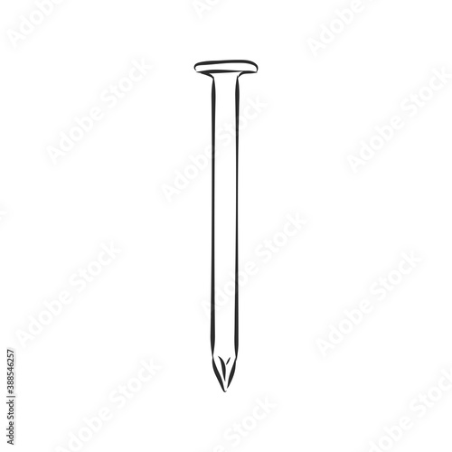 Hand drawn nail heads vector sketch. Doodle drawing. Vector sketch house remodel tool. nail vector sketch illustration
