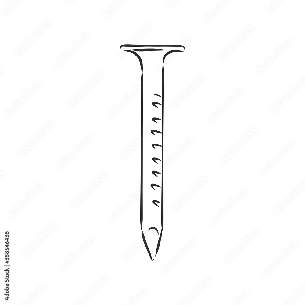 Hand drawn nail heads vector sketch. Doodle drawing. Vector sketch