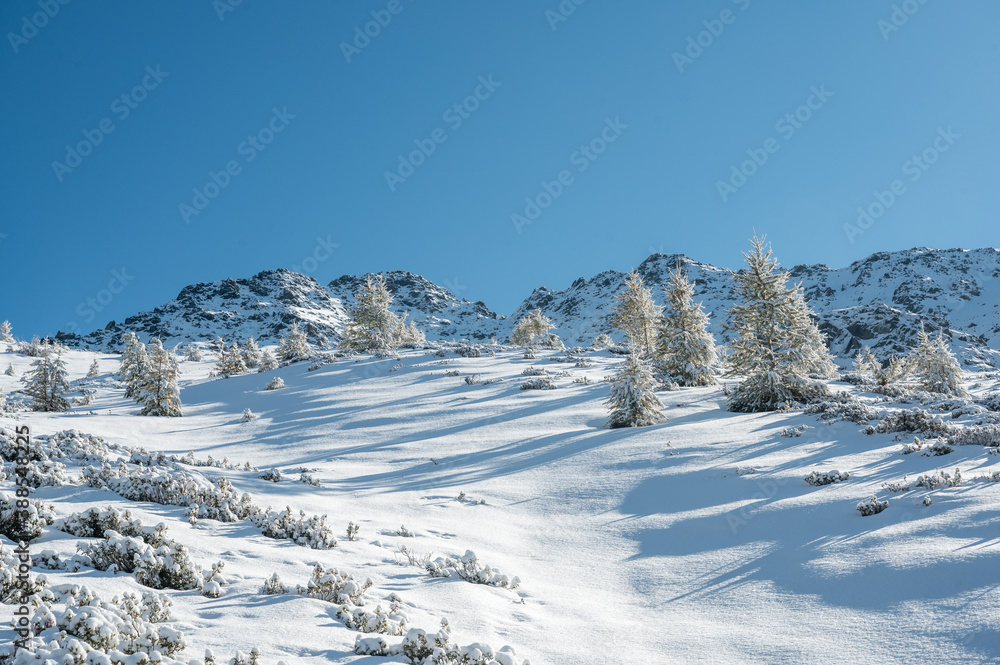 pristine winter scenery in Vallée du Trient, Valais