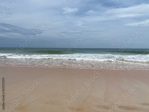 beach and sea