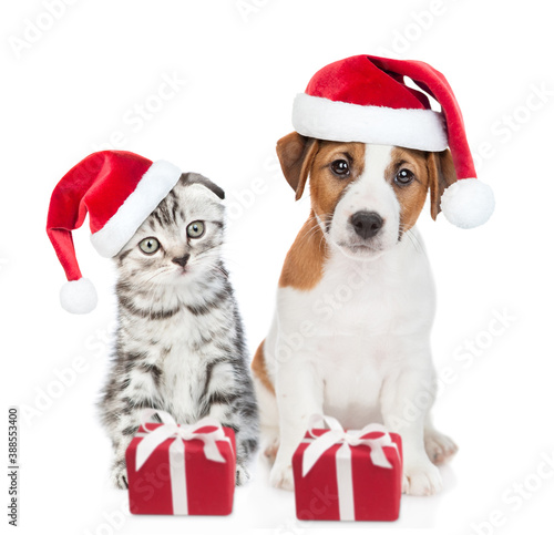 Jack russell terrier puppy and gray tabby kitten wearing red christmas hats sit together with gift boxes. isolated on white background