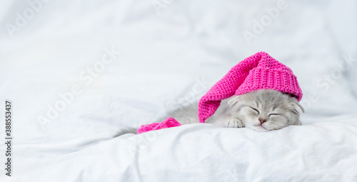 Cute baby kitten wearing warm hat sleeps on a bed at home. Empty space for text
