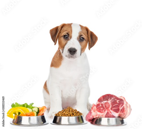 Jack russell terrier puppy  sits with varied food for pets. isolated on white background © Ermolaev Alexandr