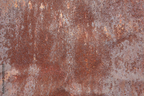 Wallpaper Mural rusty metal texture Torontodigital.ca