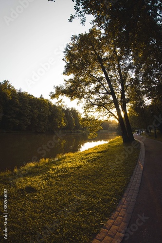 morning in the park
