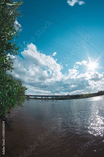 bridge over the river