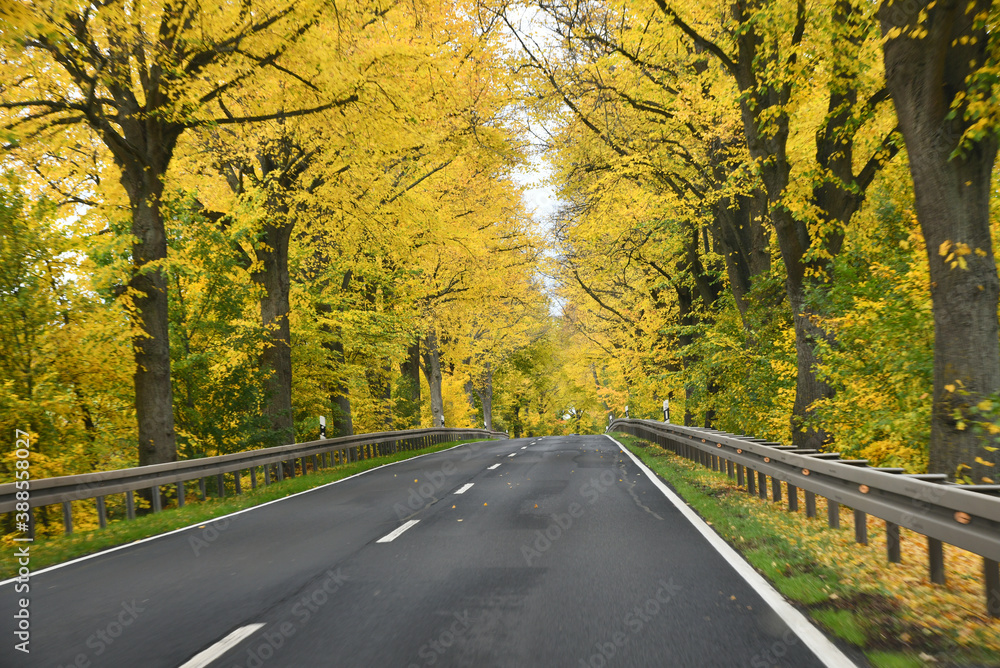 Fototapeta premium deutsche Bundesstrasse im Herbst