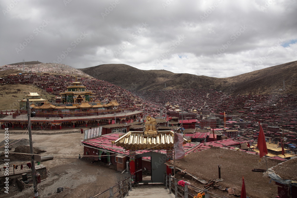 View of Academy building surrounding by temples and dense red log cabins at Serta Larung Five Science Buddhist Academy in Sertar county, Garze Tibetan Autonomous Prefecture, Sichuan, China. View of Academy building surrounding by temples and dense red log cabins at Serta Larung Five Science Buddhist Academy in Sertar county, Garze Tibetan Autonomous Prefecture, Sichuan, China.