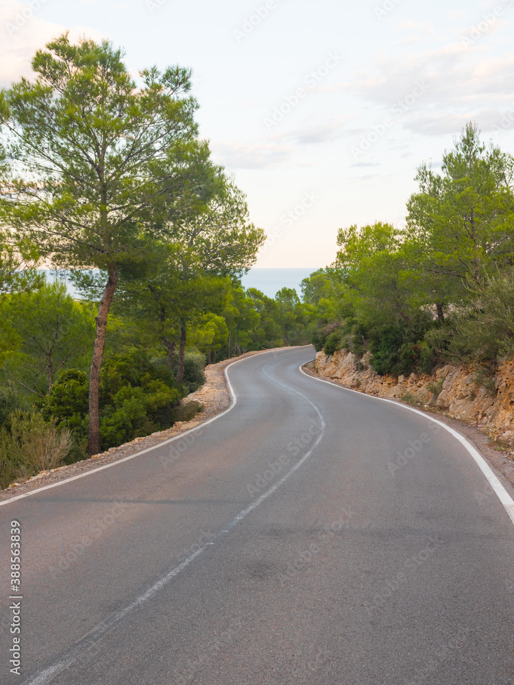 Road going through a forest. Beautiful countryside, driving into the forest. Escaping from life, simply on the road. Vertical shot. Perfect geometry. Serra d'Irta.