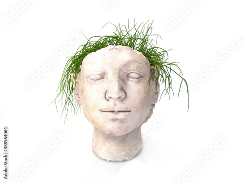 Fototapeta Naklejka Na Ścianę i Meble -  Flower pot in the shape of a woman or young man head with green plants growing out. Stylish home decor.