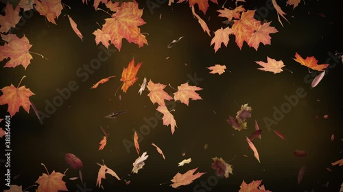 Autumn leaves falling slowly on defocused background. Fall season background seamless looping. Autumnal background. 4k photo