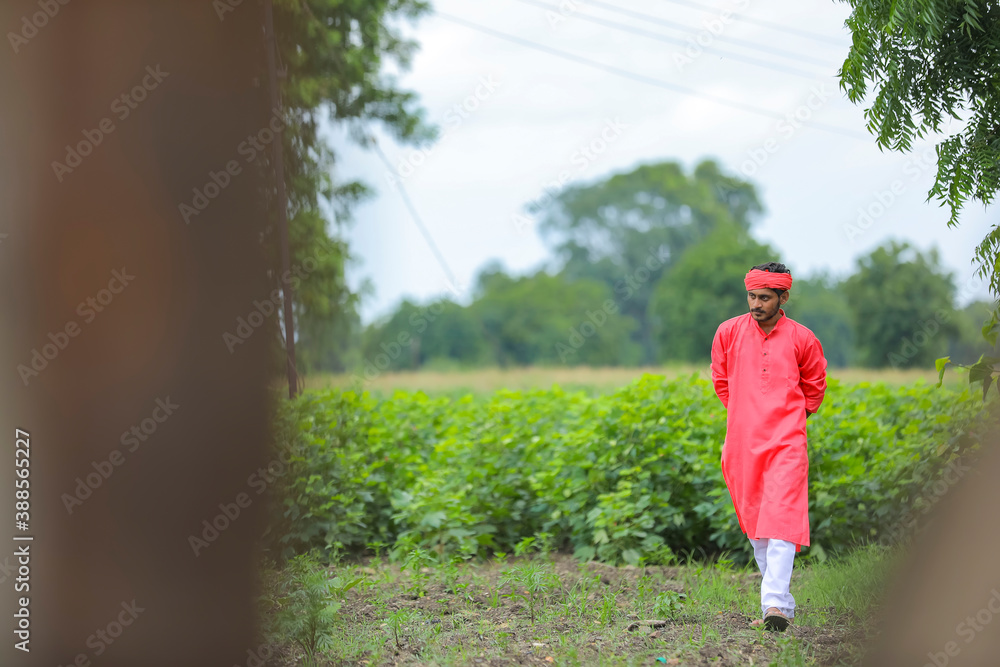 young indian farmer walking and observation in his field young indian farmer walking and observation in his field