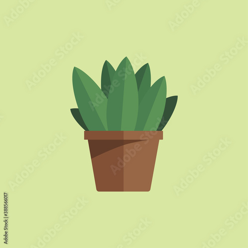 Indoor plant with large leaves in a brown pot. Vector flat illustration.