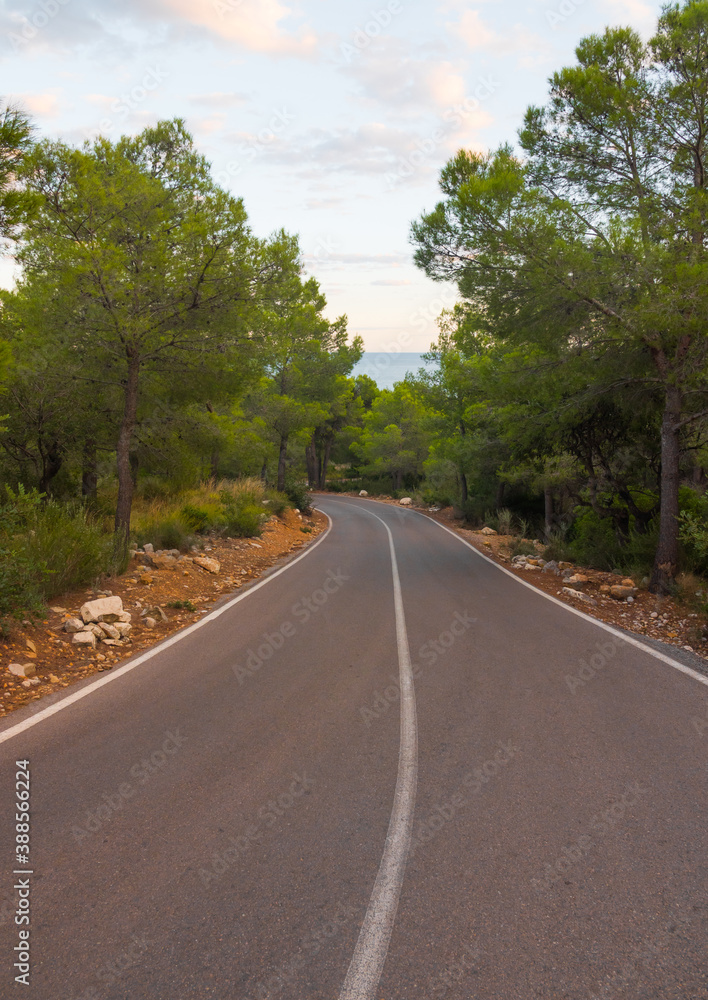 Road going through a forest. Beautiful countryside, driving into the forest. Escaping from life, simply on the road. Vertical shot. Perfect geometry. Serra d'Irta.