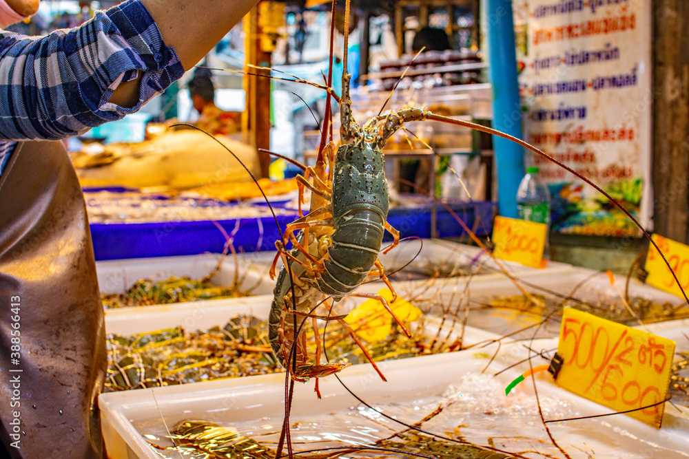 saefood market in Naklua Thailand saefood market in Naklua Thailand