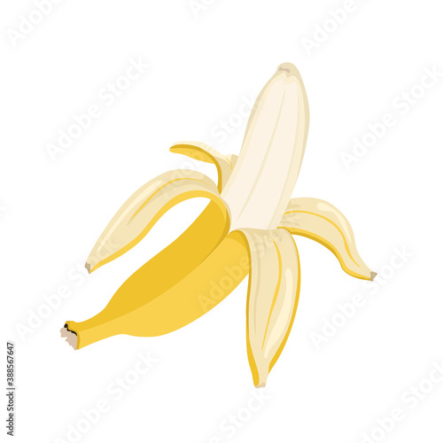 Half peeled banana isolated on white background. Vector illustration, fruit icon. Cartoon flat style.