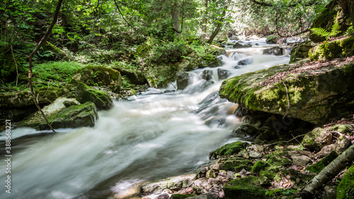 waterfall in the forest