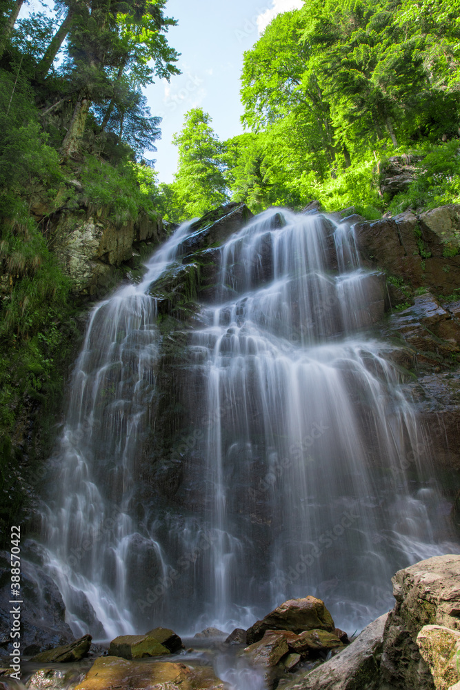 Obraz premium waterfall in the forest
