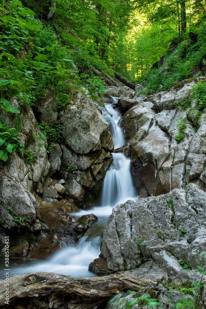 waterfall in the forest waterfall in the forest