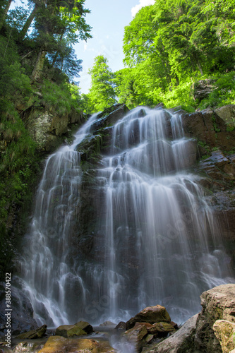 waterfall in the forest