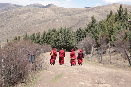View of Larung valley with Lama walking on dirt road to The Serta Larung Five Science Buddhist Academy in Sertar county, Garze Tibetan Autonomous Prefecture, Sichuan, China.  photo