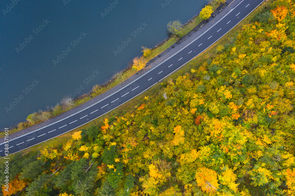 The road along the lake. Forest. Aerial view.