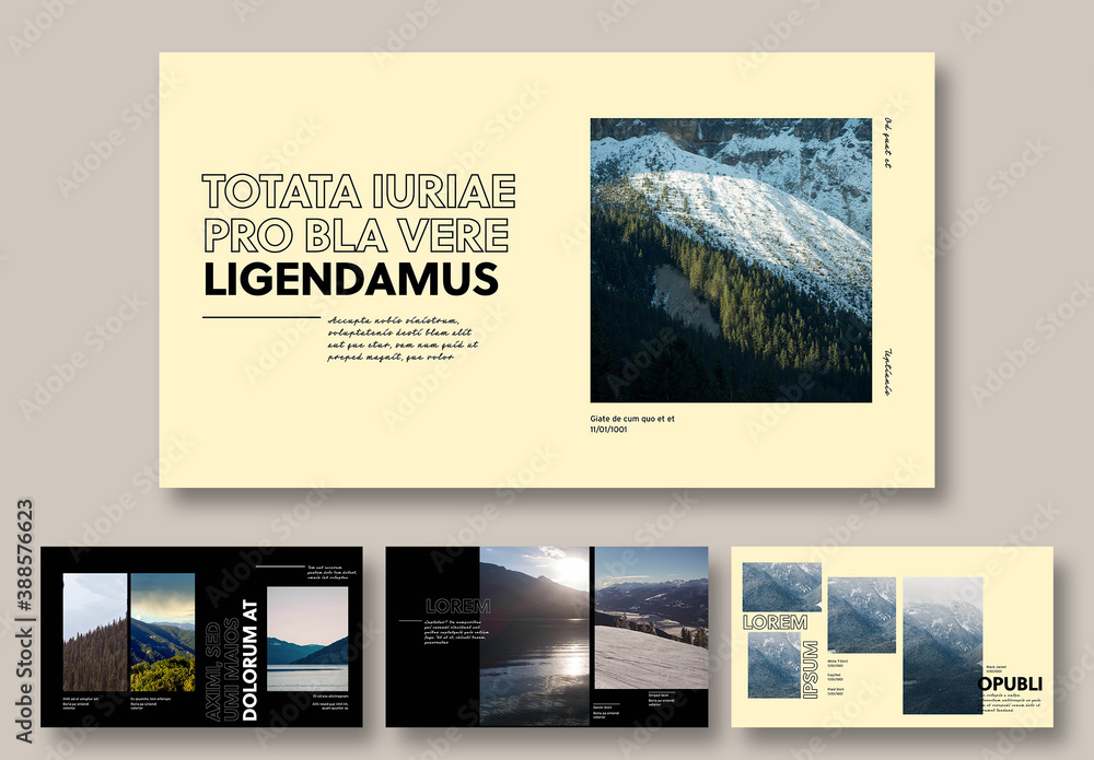 Business Pitch Deck Stock Template | Adobe Stock