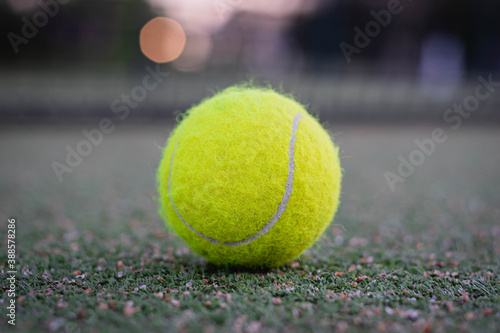 pelota de tenis sobre cesped sintetico de cancha de padle  © patoouupato