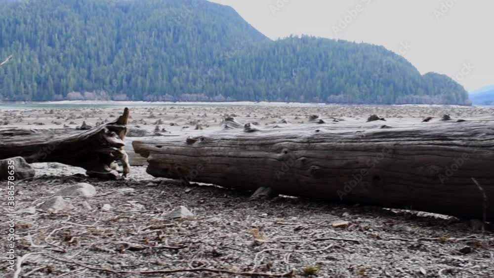 Log benches on the shore overlooking the water Log benches on the shore overlooking the water