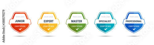 Certified badge logo design for company training badge. Certificates to determine based on criteria. Standard verified colorful modern vector illustration.