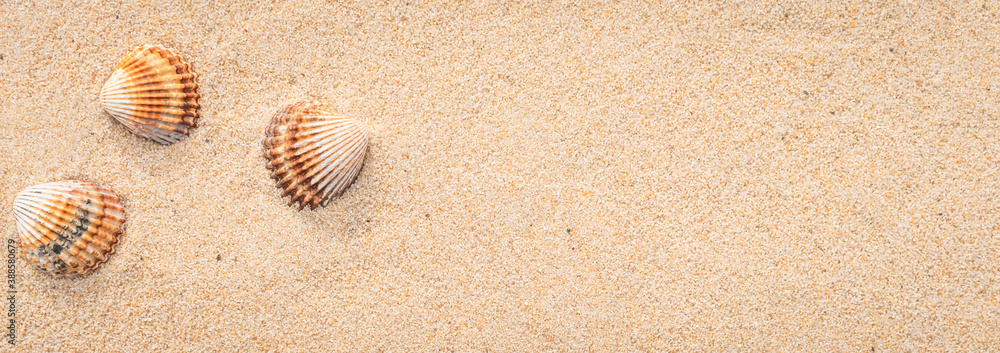 Arrière-plan grains de sable de mer, sable fin de plage et coquillages. Arrière-plan grains de sable de mer, sable fin de plage et coquillages.